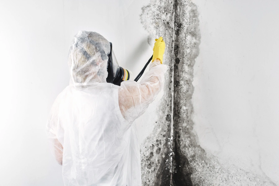 Common Myths About Mold Removal And Water Damage Restoration in Stamford, CT