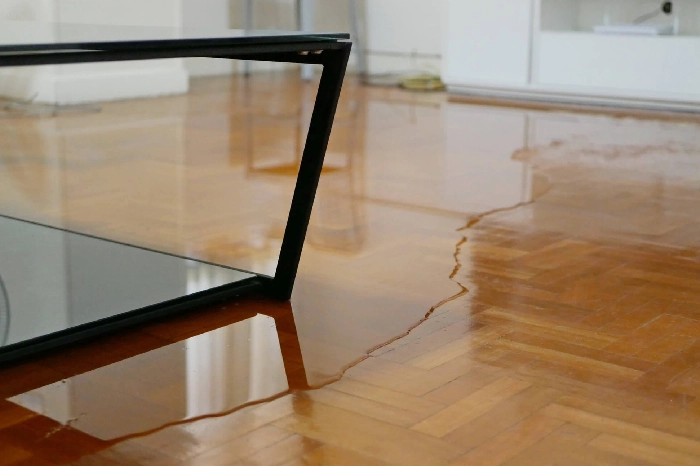 Flood Damage Restoration